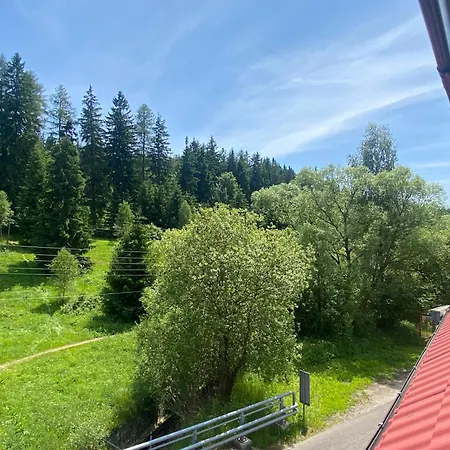 Nad Potokiem 